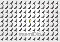 Pivert-Marketing,semiDio
