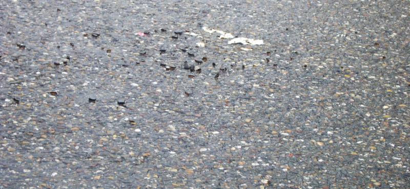 Scherben auf der Straße.JPG